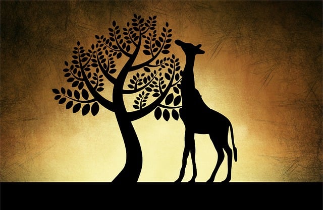 Free giraffe silhouette nature illustration