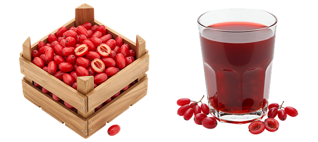 Free ai generated cornelian cherry cornus mas illustration