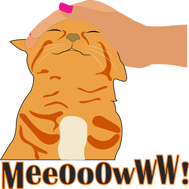 Free Cat Pet illustration and picture