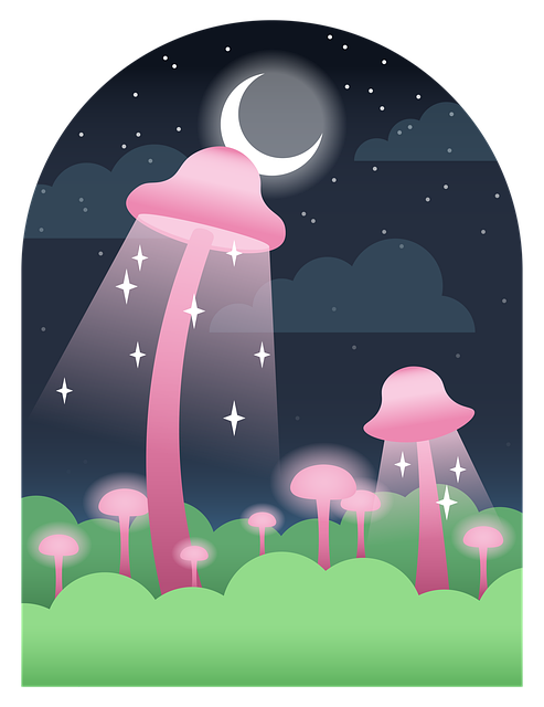 Pilze, Nacht, Glühen, Natur, Wald