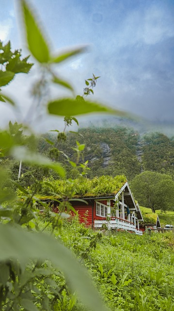 Free Norwegen Scandinavia photo and picture