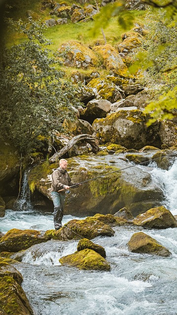 Free Schwimmen Nature photo and picture