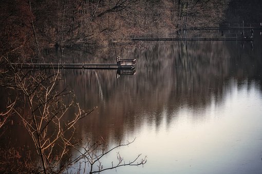 Free Lake Forest photo and picture