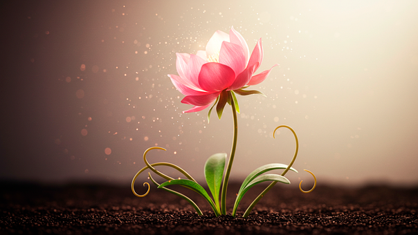 Hintergrund, Lotus Blume, Naturkunst