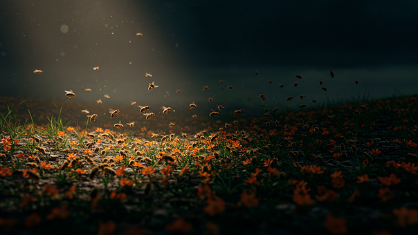 Hintergrund, Bienenschwarm