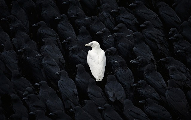 Free ai generated crow bird illustration