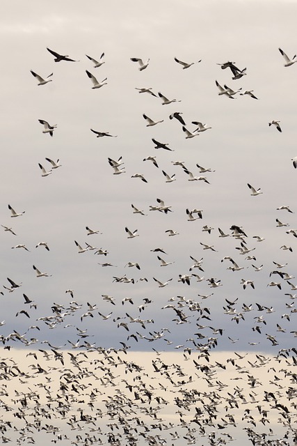 Free Nature Outdoors photo and picture