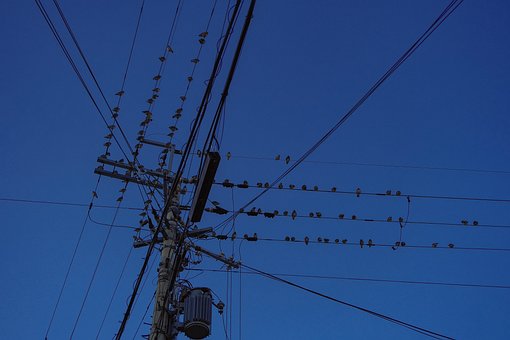 Free 电线杆 黄昏 photo and picture