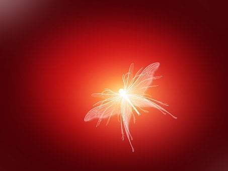 Insect, Dragonfly, Rood