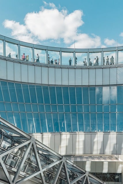 100,000+ Free Forest Observation Deck & Observation Deck Images - Pixabay