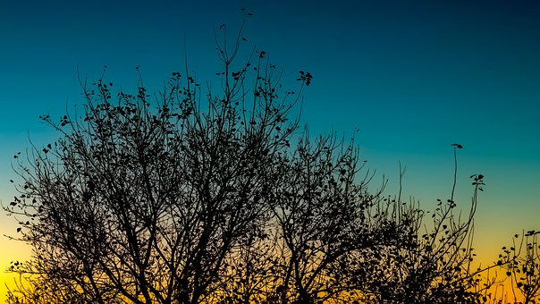 Solnedgang, Natur, Landskap, Skumring