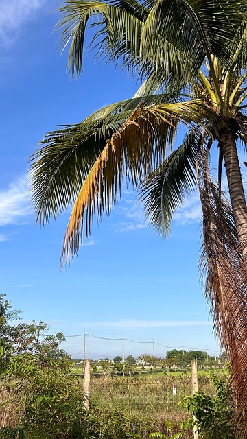 Natur, Klarer Himmel, Blauer Himmel