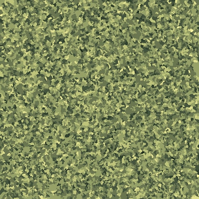 Free camouflage pattern texture illustration