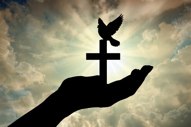Free cross dove olive branch illustration