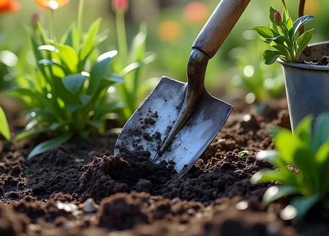 Free garden shovel to dig illustration