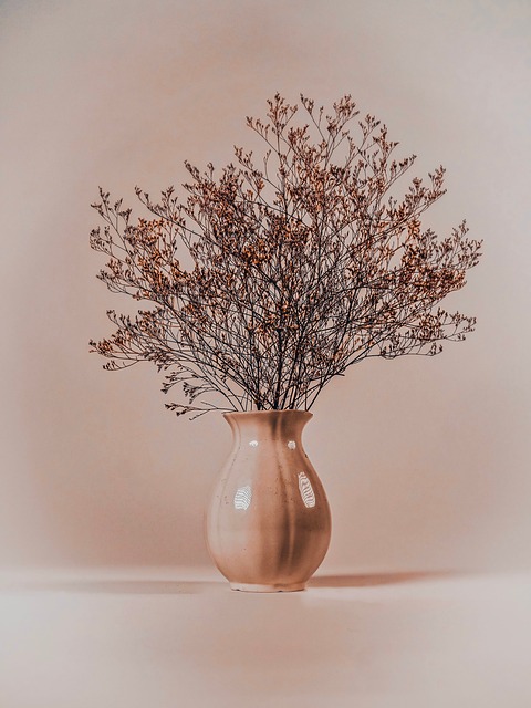 Vase, Blomst, Natur, Blossom, Flora