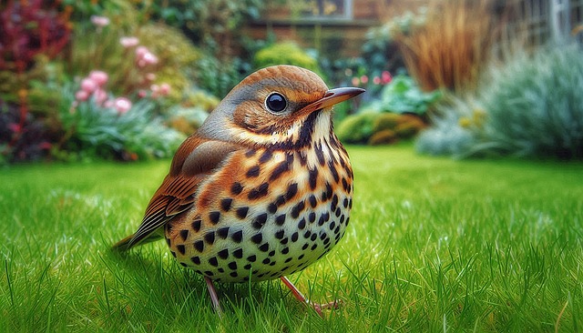 Free ai generated bird song illustration