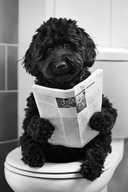 Free ai generated dog humor illustration