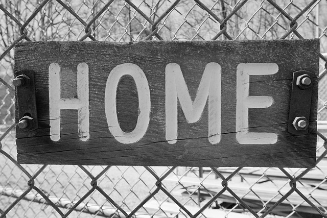 Free Baseball Sport photo and picture