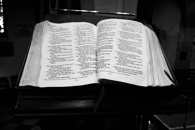 Free Bible Jesus photo and picture