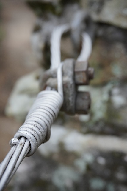 Free Cable Wire photo and picture