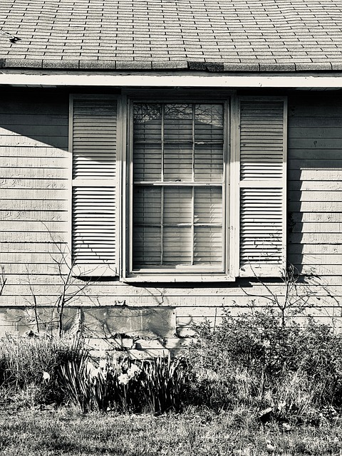 Free House Building photo and picture