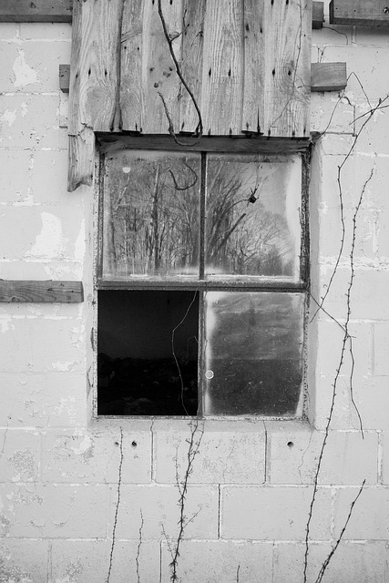 Free Window Broken photo and picture