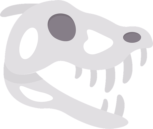 Dinosaurier, Natur, Dino, Tier