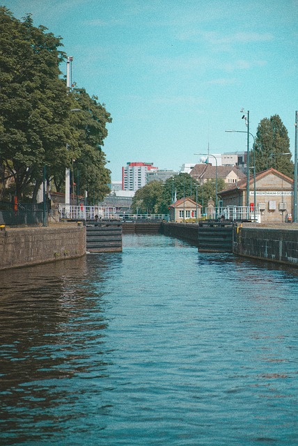 Free Analog Vibe photo and picture