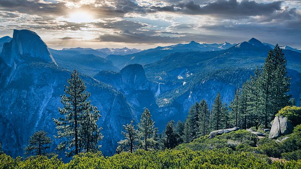 Yosemite, Natuur, Woud, Landschap