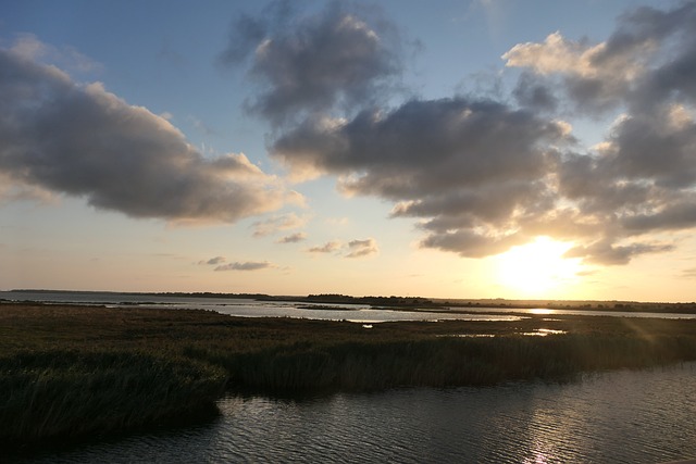 Fluss, Natur, Landschaft