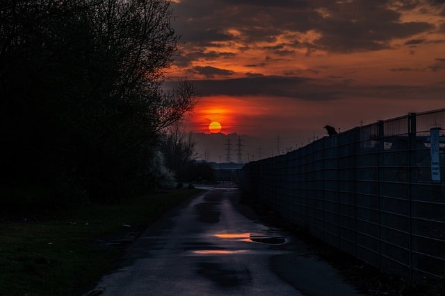 Free Red Sun Sunset photo and picture