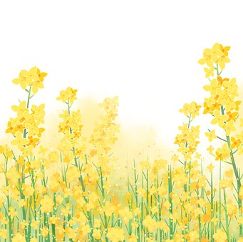 Blume, Kleine Blume, Blumen, Green
