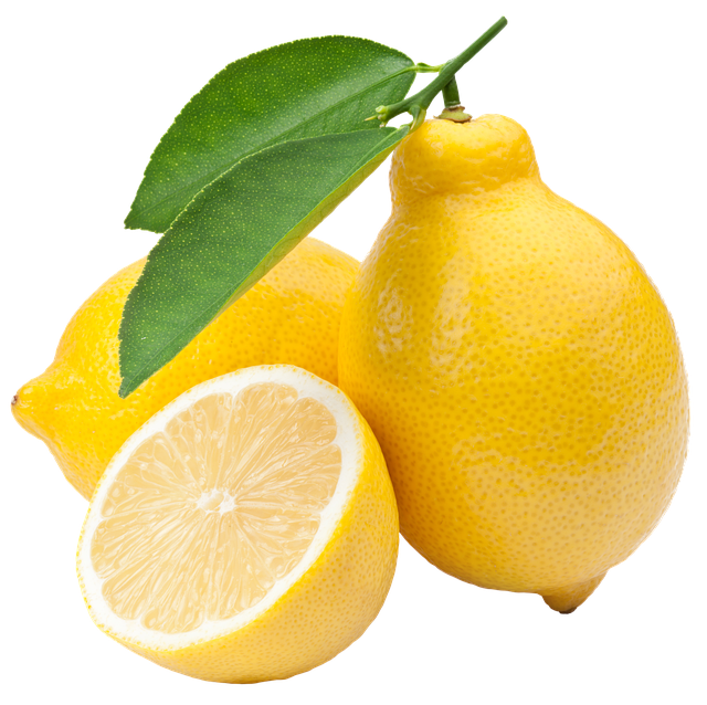 Free lemon fruit nature illustration