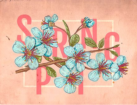 Vår, Blomst, Floral, Blomstre, Kort