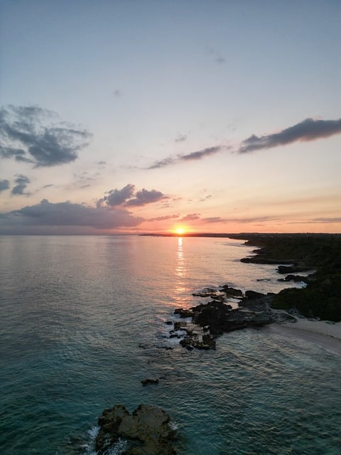 Free Beach Nature photo and picture