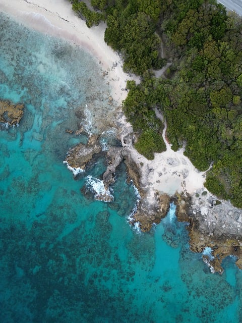 Free Beach Nature photo and picture