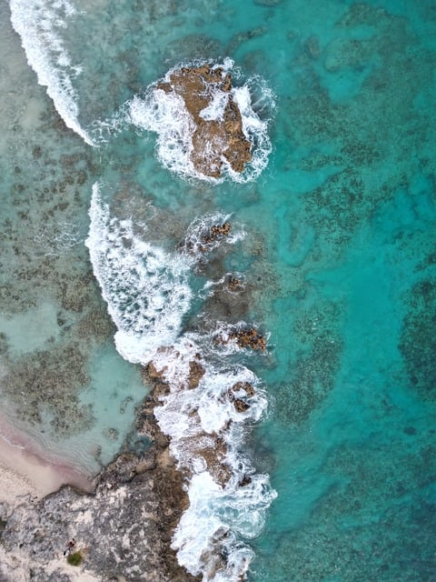 Free Beach Nature photo and picture