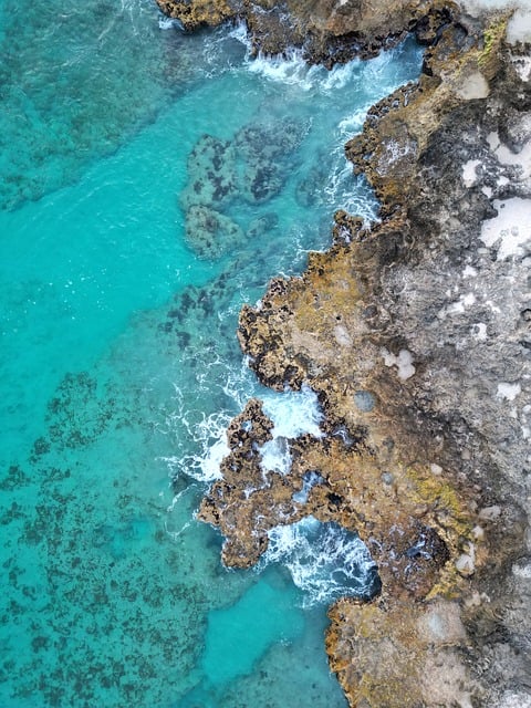 Free Beach Nature photo and picture
