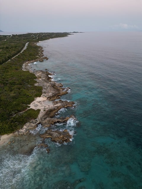 Free Beach Nature photo and picture