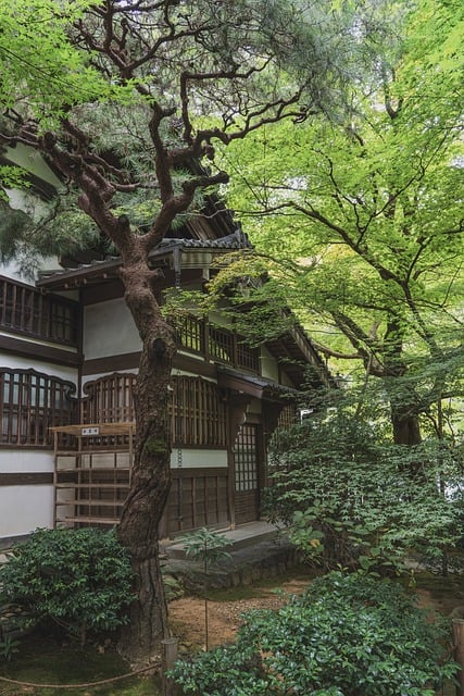 ryoan-ji, ryoan-ji temple, japanese, zen, garden, culture, temple, religion, zen temple, world heritage, unesco world heritage site, nature, sightseeing, japan