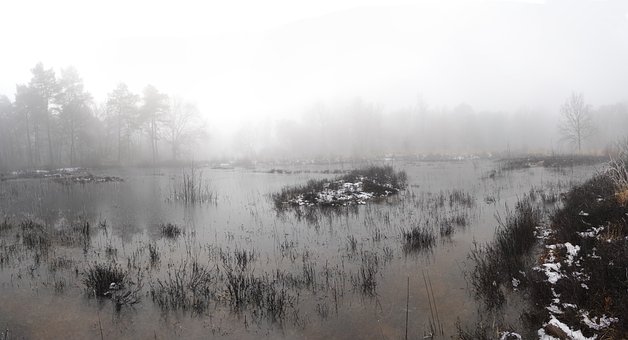 Tåge, Sø, Dam, Kold, Vinter, Frost