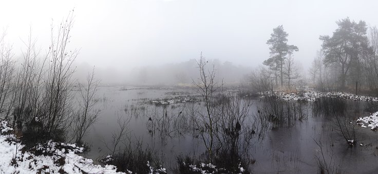 Tåge, Sø, Dam, Kold, Vinter, Frost