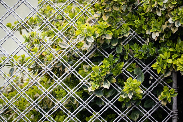Fence Grid - Free photo on Pixabay