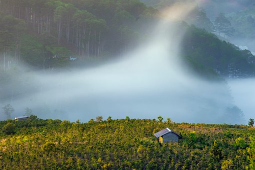 Free Mountains Fog photo and picture