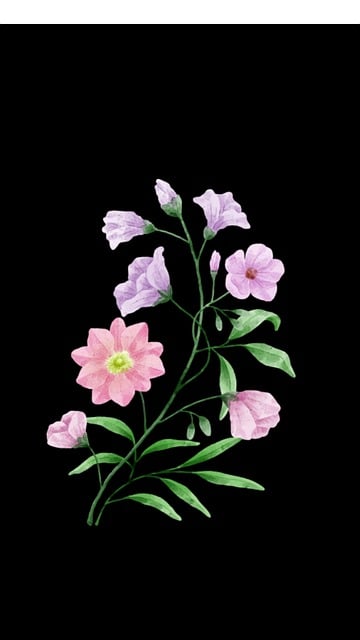 Free Flower Nature photo and picture