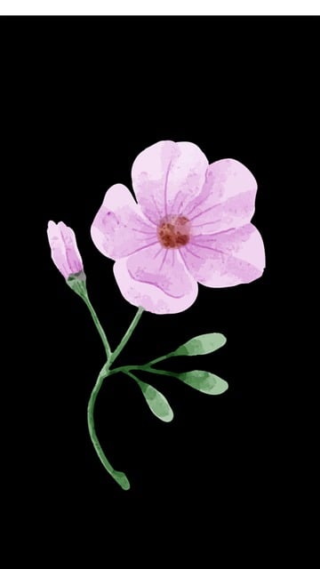 Free Flower Nature photo and picture