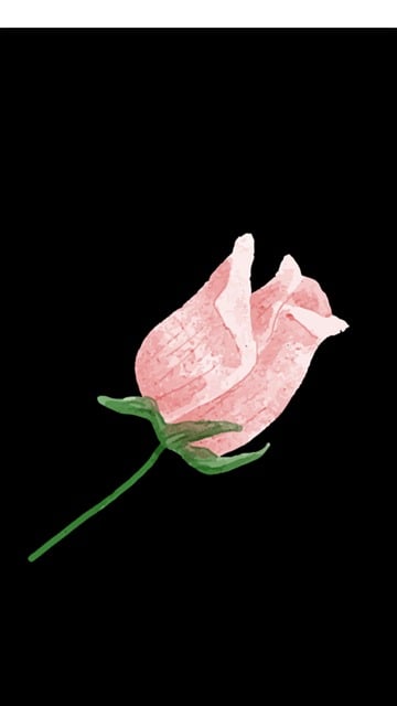 Free Flower Nature photo and picture