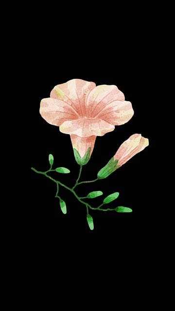 Free Flower Nature photo and picture