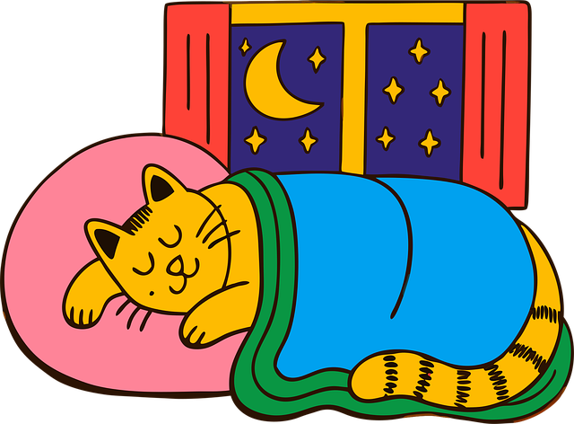 Free cat sleeping cat cute cat vector
